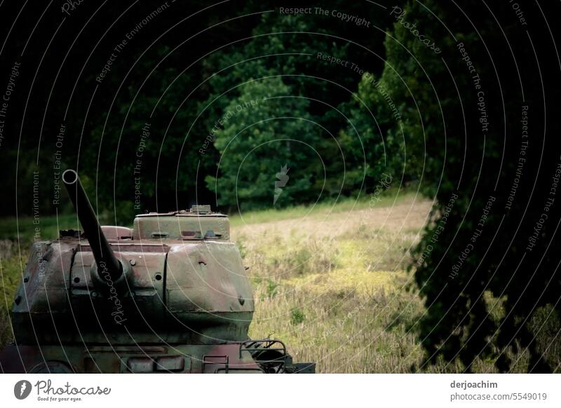 Ein Alter defekter Panzer aus dem 2 Weltkrieg steht mitten im Wald.  ( Moedlareuth ) ) Panzerung Krieg Gefecht attackieren Waffe Militär Verteidigung Munition