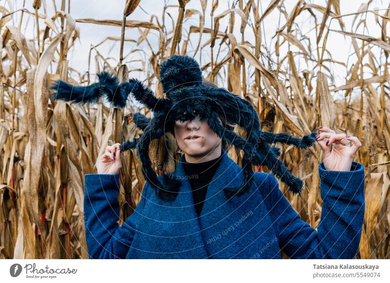 Riesige schwarze Spielzeugspinne auf dem Kopf einer Frau in einem Maisfeld während einer Halloween-Party in einem Maisfeld riesig Spinne Kornfeld Verzerrung