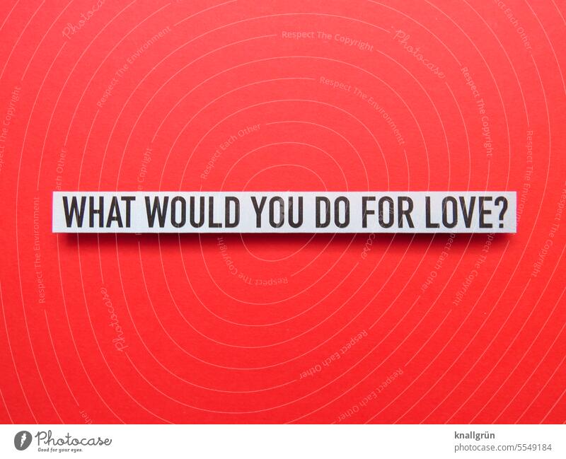 What would you do for Love? Liebe Vertrauen Fragen Gefühle Erwartung Zusammensein Zusammengehörigkeit Farbfoto Partnerschaft Menschenleer Kommunizieren