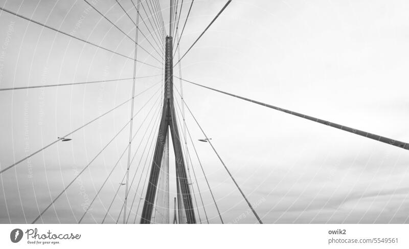 Seinebrücke Brücke innovativ Brückenkonstruktion Sehenswürdigkeit Pont de Normandie Le Havre Frankreich Außenaufnahme Architektur groß Wege & Pfade elegant