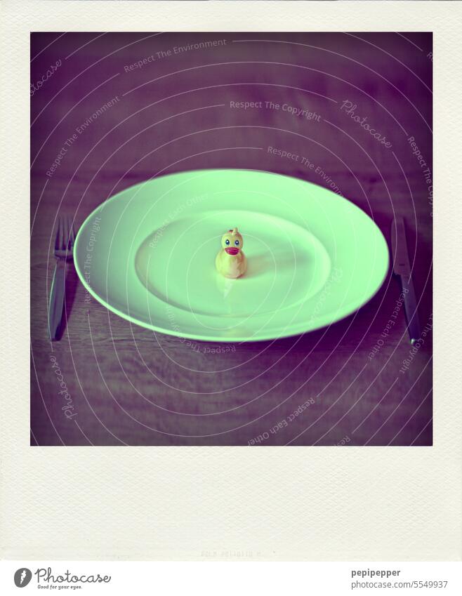 Entenbraten - Polaroid eines Tellers mit Kleiner Quietscheente Ernährung Lebensmittel Gesunde Ernährung Hunger Appetit & Hunger Menschenleer Farbfoto