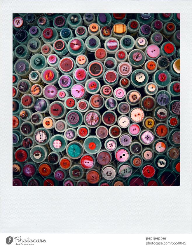 Polaroid – bunte Knöpfe Stoff Textilien Arbeit & Erwerbstätigkeit Knopf bunt gemischt Schneider Mode Bekleidung Farbfoto Nähen Handwerk Freizeit & Hobby