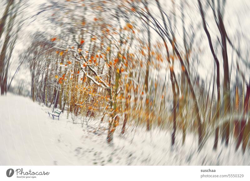 schneeverwehung mit bank Winter Winterszene Drehung Rotation Bewegungsunschärfe Schnee Landschaft Wald Winterwald kalt Bäume Äste Laub Herbstlaub rot