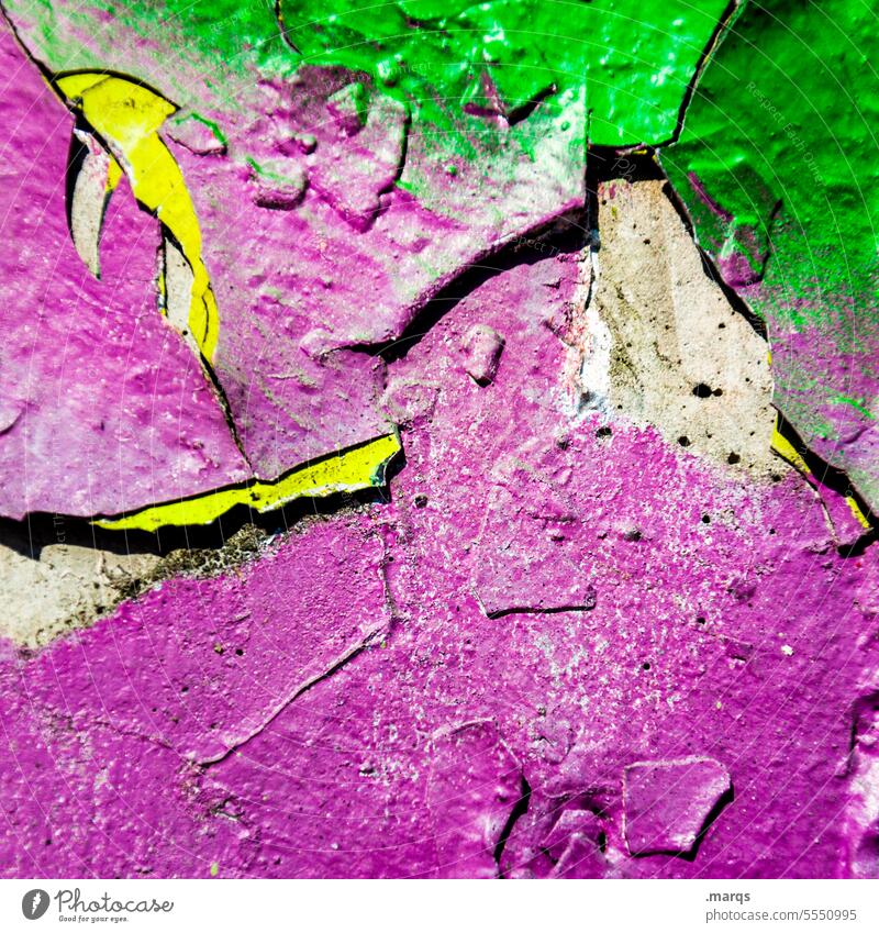 Knallgrün mit lila Wand Nahaufnahme Verfall abblättern Farbe alt Lack Mauer Strukturen & Formen kaputt Wandel & Veränderung Vergänglichkeit Riss Farbstoff