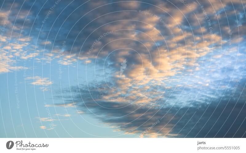 Wolken Dynamik Himmel Schäfchenwolken Dämmerung Dynamisch grafisch Kurve Blauer Himmel Schönes Wetter blau Umwelt Tag Außenaufnahme Sonnenlicht Luft Licht