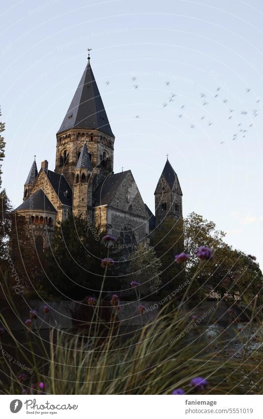 Neuer Tempel in Metz kirche Neuf-Tempel Frankreich Kirchturm Blumen Blüten Stadt Fluss Vogelschwarm Vögel herbst herbstlich dunkel beleuchtet Natur Landschaft