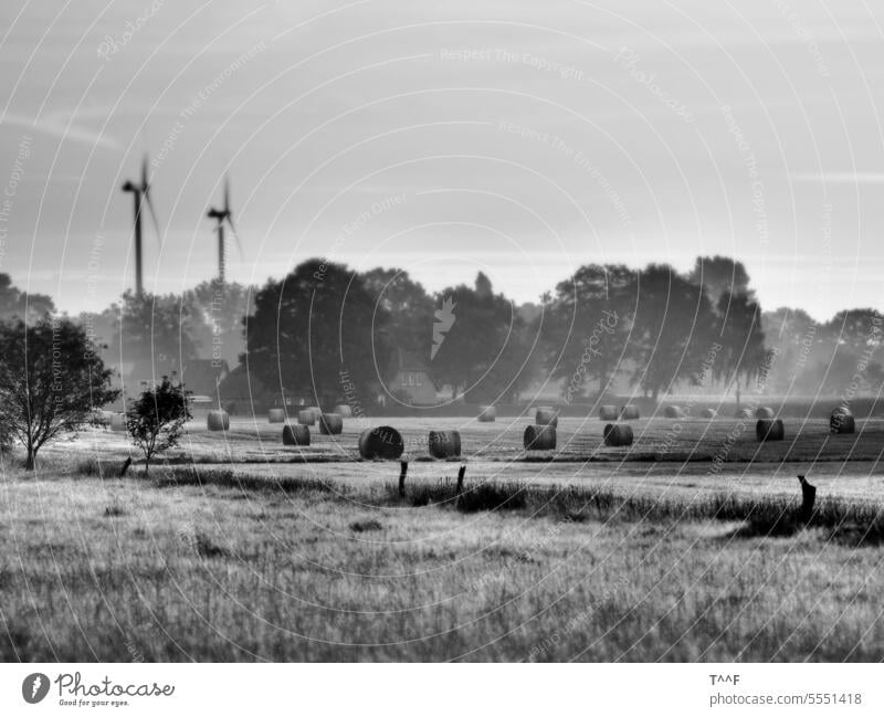Strohballen auf einem Feld im morgendlichen Nebel im Hintergrund zwei Windkraftanlagen Landwirtschaft feld acker ackerbau abgetrennt Energiewende