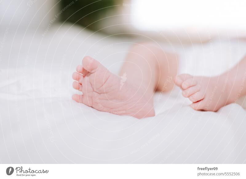Detail der Füße eines Neugeborenen in Studiobeleuchtung gegen Weiß Baby neugeboren Fuß Erstgeborenes Porträt Verlegung Hinlegen Textfreiraum Elternschaft