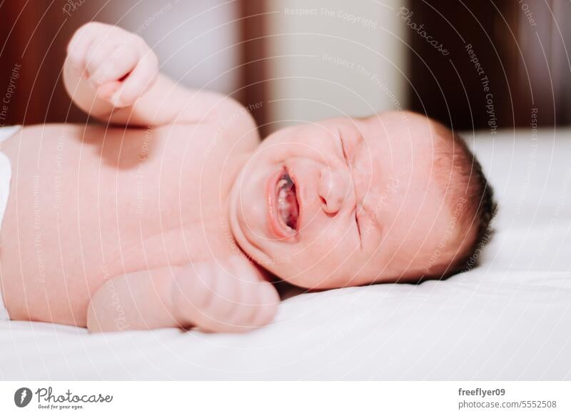 Neugeborenes weint im Studio Licht gegen weiß Baby neugeboren Weinen Erstgeborenes Porträt Verlegung Hinlegen Textfreiraum Elternschaft Mutterschaft Unschuld