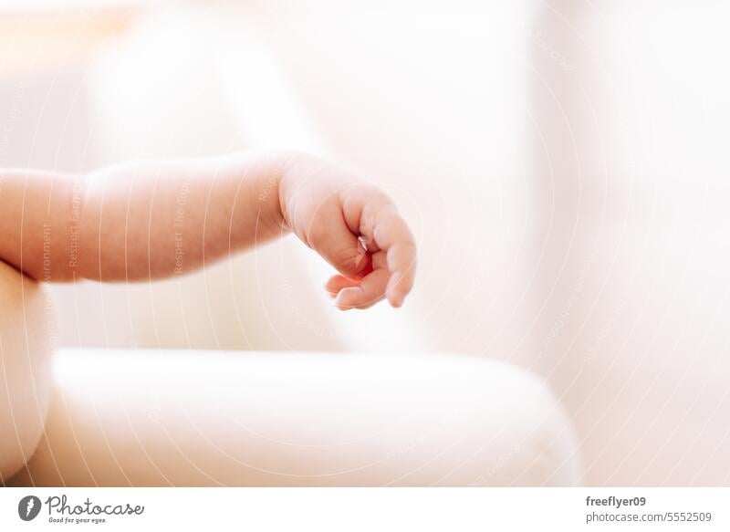 Detail der Hand eines Neugeborenen in Studiobeleuchtung gegen Weiß Baby neugeboren Erstgeborenes Porträt Verlegung Hinlegen Textfreiraum Elternschaft