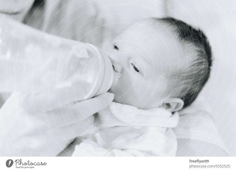 Neugeborenes trinkt aus einer Saugflasche Baby neugeboren Essen melken füttern Flasche hungrig Elternschaft Mutterschaft Unschuld Leben Wehen jung Junge Glück