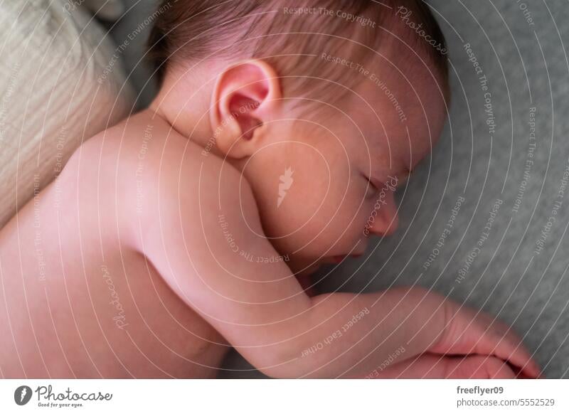 Porträt eines schlafenden Neugeborenen in einem Kinderbett von oben Baby neugeboren Mittagsschlaf Lügen Windel Windeln Elternschaft Mutterschaft Unschuld Leben