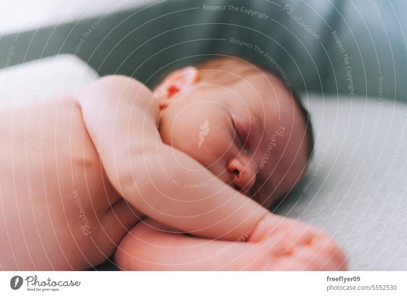 Porträt eines schlafenden Neugeborenen auf einem Babybettchen neugeboren Mittagsschlaf Lügen Windel Windeln Elternschaft Mutterschaft Unschuld Leben Wehen jung