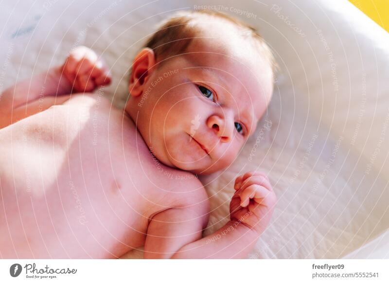 Porträt eines Neugeborenen auf einer Wickelkommode Baby neugeboren wach Kaukasier Wechsler wütend Gesicht Textfreiraum Elternschaft Mutterschaft Unschuld Leben