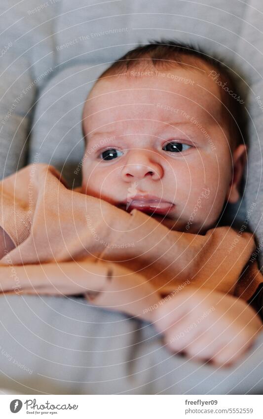 Porträt eines Neugeborenen in einer Baby-Hängematte neugeboren Sitzen Textfreiraum Elternschaft Mutterschaft Unschuld Leben Wehen jung Junge Glück Born klein