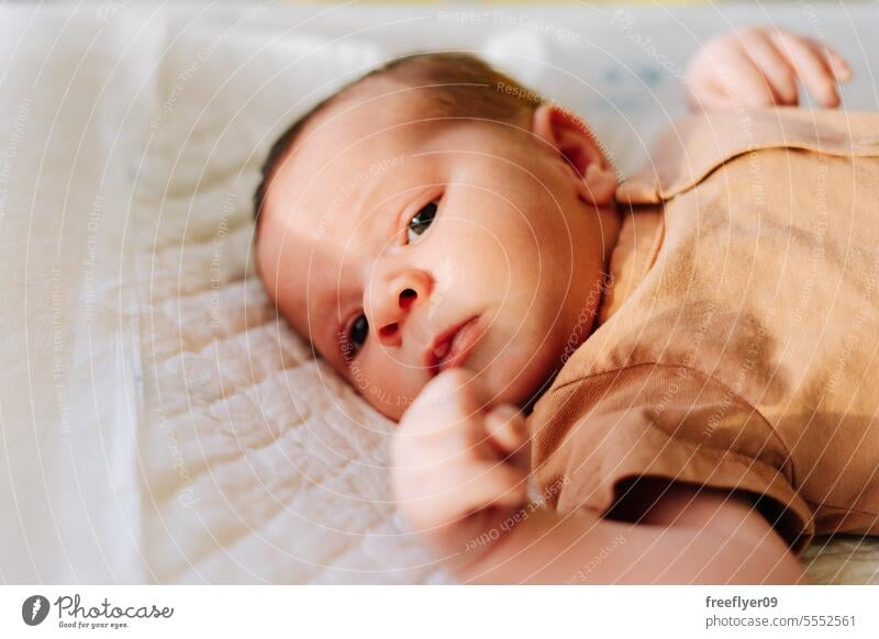 Porträt eines Neugeborenen auf einer Wickelkommode Baby neugeboren Lügen Hängematte Textfreiraum Elternschaft Mutterschaft Unschuld Leben Wehen jung Junge Glück