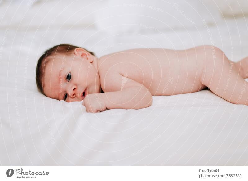 Neugeborenes in Studiobeleuchtung gegen Weiß Baby neugeboren Erstgeborenes Porträt Verlegung Hinlegen Textfreiraum Elternschaft Mutterschaft Unschuld Leben