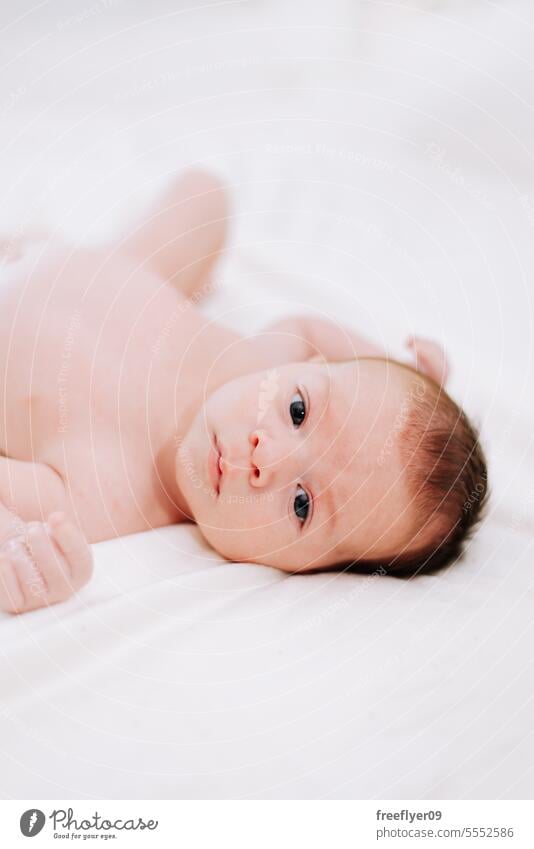 Neugeborenes in Studiobeleuchtung gegen Weiß Baby neugeboren Erstgeborenes Porträt Verlegung Hinlegen Textfreiraum Elternschaft Mutterschaft Unschuld Leben