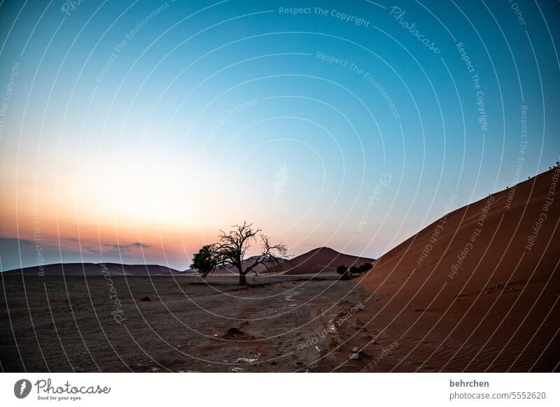 ein neuer tag Himmel fantastisch träumen Hoffnung Sonne Sossusvlei Außenaufnahme Sesriem dune 45 Sand Wüste Afrika Namibia Ferne Fernweh Sehnsucht reisen