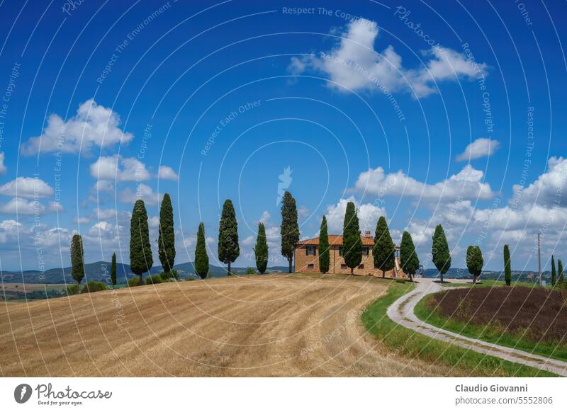 Ländliche Landschaft in der Toskana bei Pienza Europa Italien Monticchiello Siena Val d Orcia Ackerbau Farbe Zypresse Tag Bauernhof Feld Hügel Haus Natur