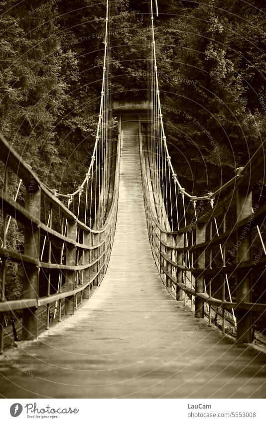 Mutprobe Hängebrücke Brücke Schwindel schwindelfrei hängen Zentralperspektive zentral mittig überqueren Überquerung Wege & Pfade rüber hinüber hinübergehen