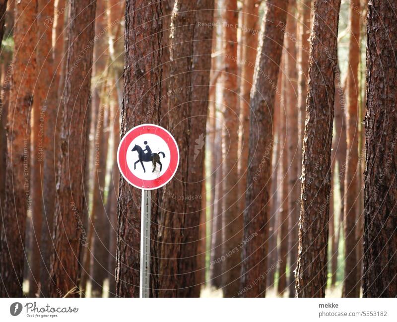 hilfreich | Hinweisschild im Wald Schilder & Markierungen Verbot Stopp Pferd Reiten Reiter Reitsport Freizeit & Hobby Natur Landschaft Baum Bäume Durchgang Weg