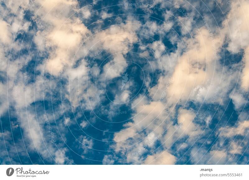 Landkarte Wetter Urelemente Luft Himmel Wolken Klima Klimawandel Natur blau Umwelt wolkig Wolkenhimmel meteorologie Klimakrise Meteorologie Atmosphäre