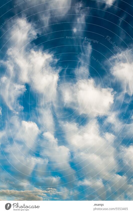 Ein Haufen Wolken Wetter Urelemente Luft Himmel Klima Klimawandel Natur blau Umwelt wolkig Wolkenhimmel meteorologie Klimakrise Meteorologie Wetterumschwung