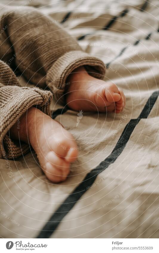Newborn-Füße Babyfüße nackte Füße Strick Beige Braun Haut trockene Haut Schuppen Hose Decke Bettdecke Streifen liegen Mensch Detailaufnahme