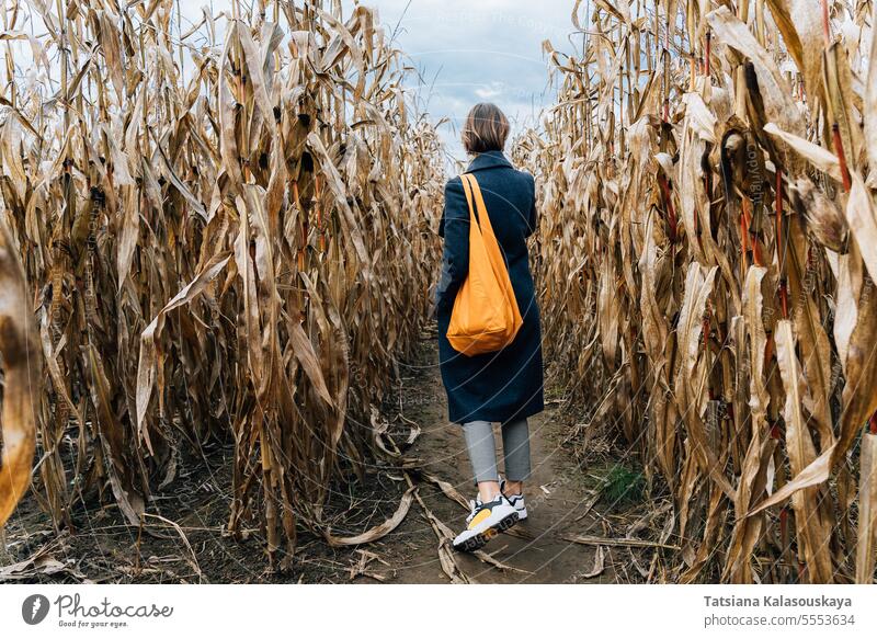 Rückansicht einer Frau in einem Mantel mit einer leuchtend orangefarbenen Tasche, die zwischen Maisreihen auf einem Feld im Herbst spazieren geht hell laufen