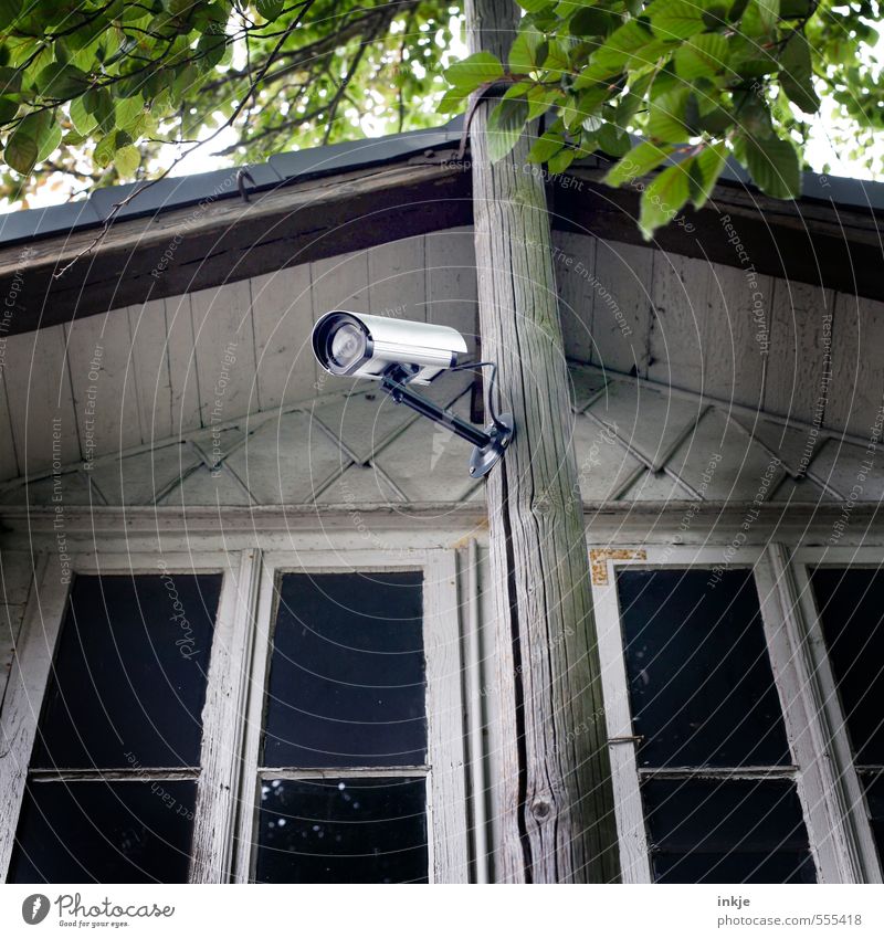 besser ist das Lifestyle Reichtum Häusliches Leben Haus Garten Videokamera Überwachungskamera Technik & Technologie Frühling Sommer Baum Blatt Menschenleer