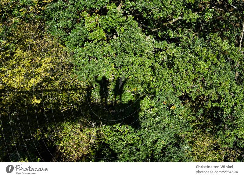 Begrüßungsrituale | freundlich winken Schatten Bäume Silhouetten Schattenmenschen Aussichtsplattform grün Schattenwurf Schattenbild Schattenspiel