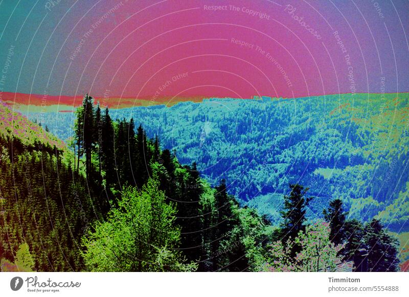Schwarzwald, eher bunt Wald Fichten Laubbäume Hügel Berg Himmel verfremdet Solarisation Menschenleer Außenaufnahme Farbfoto