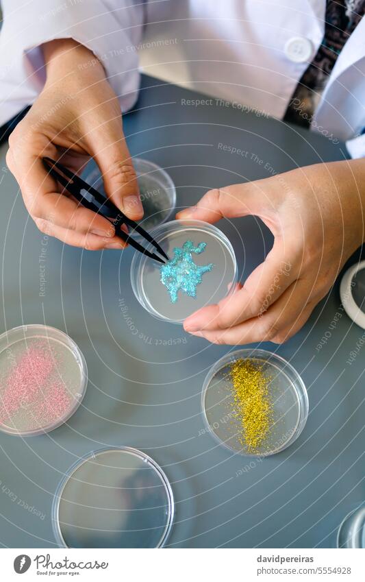 Unbekannte Chemikerin untersucht eine blaue Glitzerprobe in einer Petrischale im Labor unkenntlich Frau Techniker Hände Untersuchen Analysieren Mikro Kunststoff