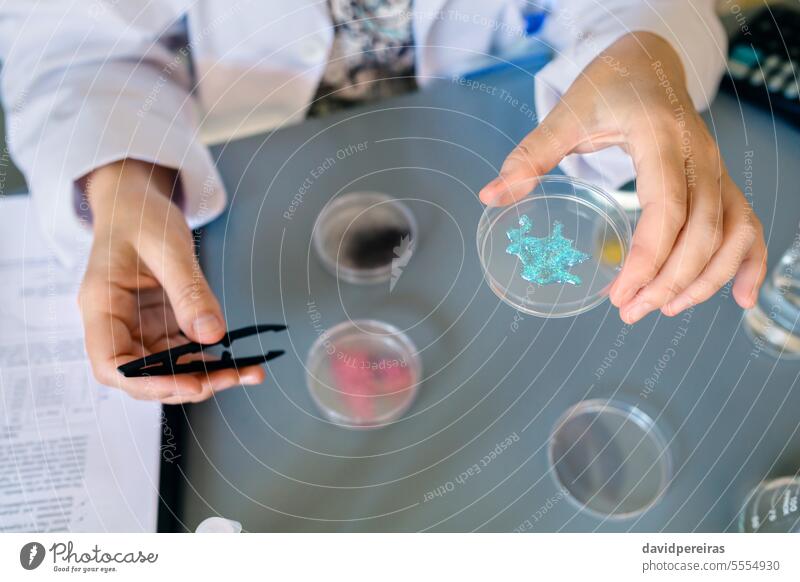 Unbekannte Wissenschaftlerin zeigt blauen Glitzer in einer Gesichtscremeprobe über einer Petrischale im Labor unkenntlich Frau zeigend Beteiligung Glitter Mikro