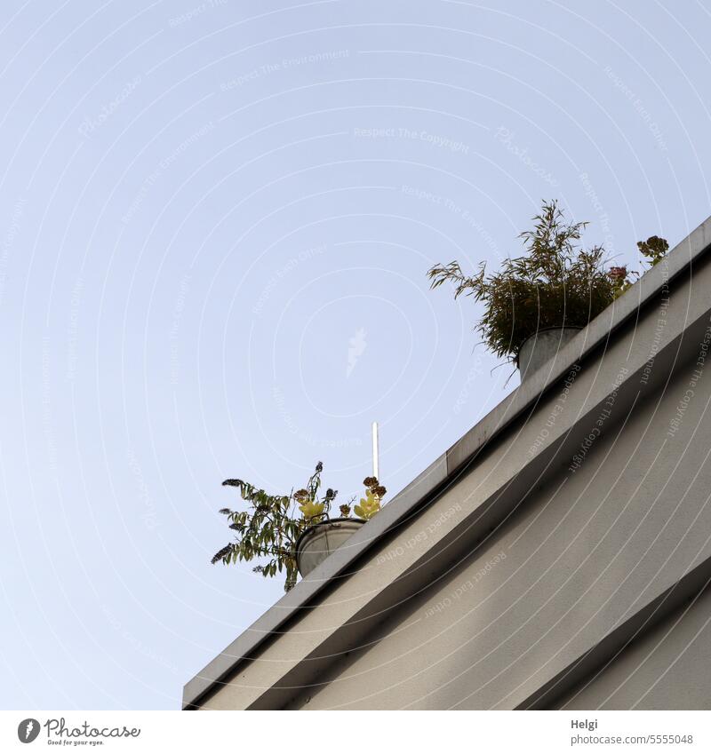 Weites Land | Balkonien Gebäude Haus Pflanze Kübelpflanze wohnen Himmel draußen Außenaufnahme Architektur Fassade Stadt Menschenleer Häusliches Leben Bauwerk