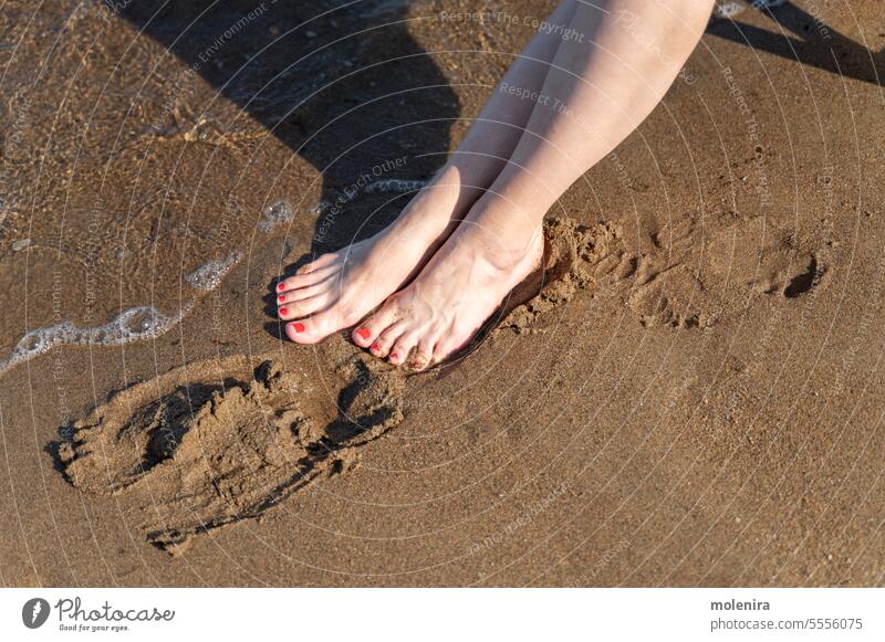 Beine einer sitzenden Frau am Strand in der Nähe des Meeres Zehen Maniküre rot Sand MEER winken weiß Haut uv Bräune Gelenk Fuß Urlaub Sommer sonnig 30s Fußtritt