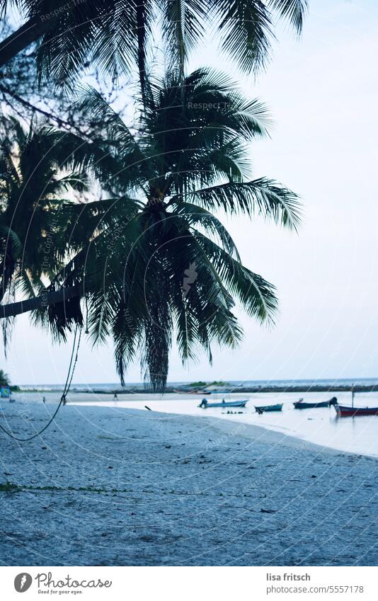 MEER - STRAND - PALMEN - URLAUB Palmen Boote Strand Meer Thailand Küste Wasser Natur Sommer Ferien & Urlaub & Reisen Tourismus Landschaft Bucht blau Sand Himmel