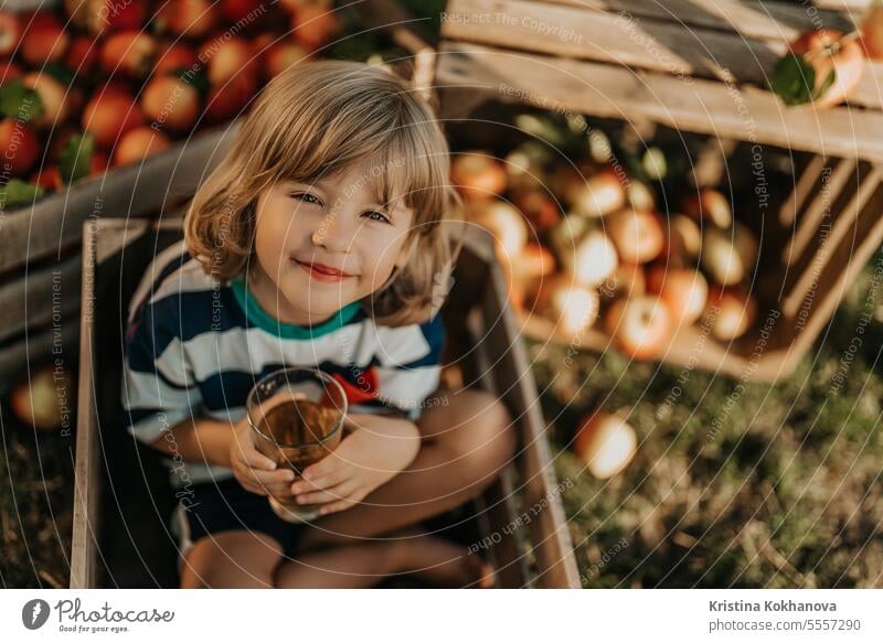 Niedliches Kleinkind, das Apfelsaft trinkt. Kind in Holzkiste im Obstgarten. Junge frisch Frucht Kindheit Diät trinken Frische Glas Glück Gesundheit