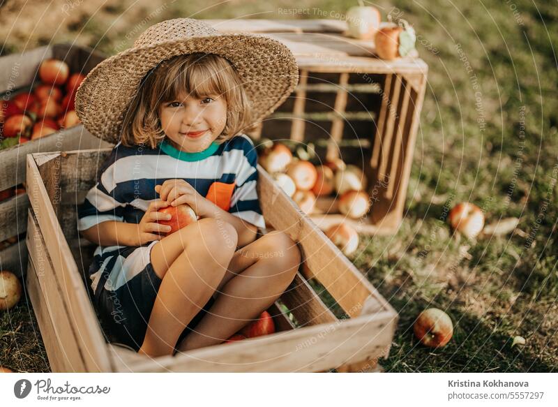 Hübsches kleines Kind mit Apfel in Holzkiste im Obstgarten sitzend, Bio-Obst Kommissionierung Gartenarbeit Junge Gesundheit wenig Natur Kaukasier Frucht Glück
