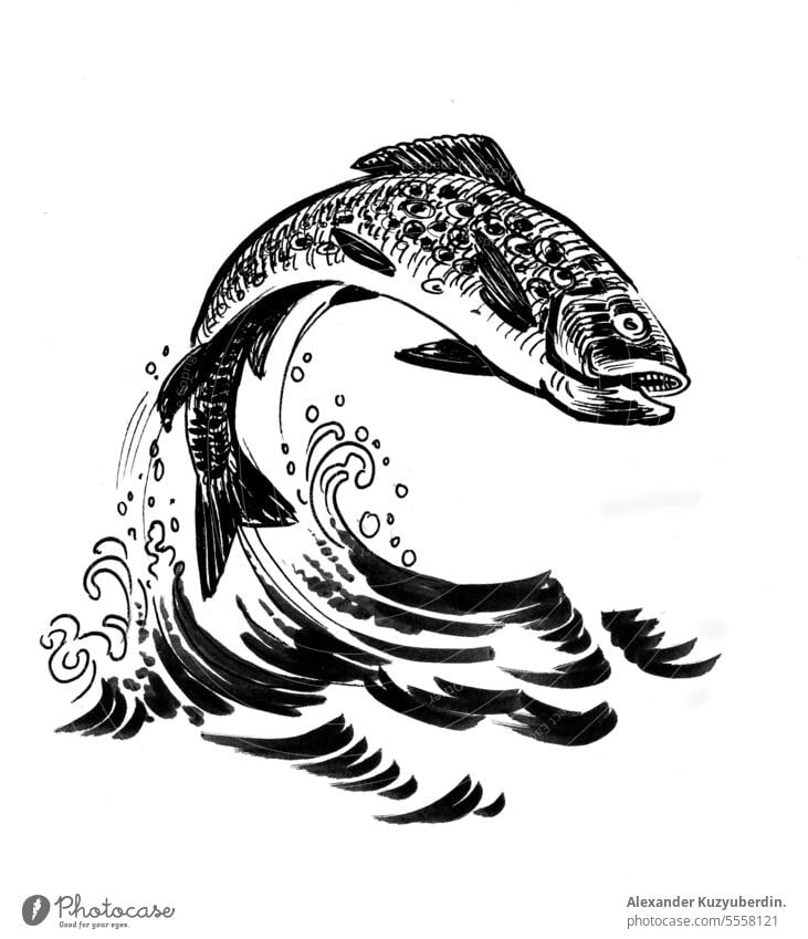 Springender Lachsfisch. Tinte schwarz und weiß Zeichnung Tier aquatisch Kunst Kunstwerk Hintergrund Karikatur Fisch Fischen Lebensmittel Grafik u. Illustration