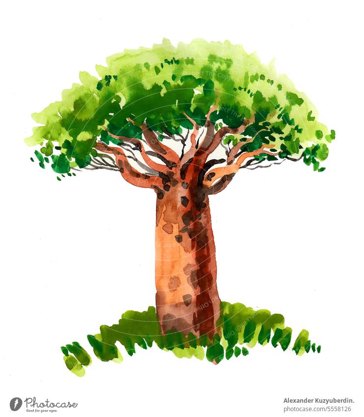 Aquarell eines Affenbrotbaums abstrakt Afrika Kunst Hintergrund baobab groß Ast Farbe Design Zeichnung gezeichnet Wald grün Hand Grafik u. Illustration Bild
