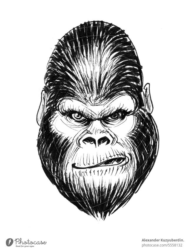 Verrückter Gorilla. Tinte schwarz und weiß Illustration angriffslustig wütend Tier Affe Kunst Kunstwerk verrückt Zeichnung Gesicht Kopf Grafik u. Illustration