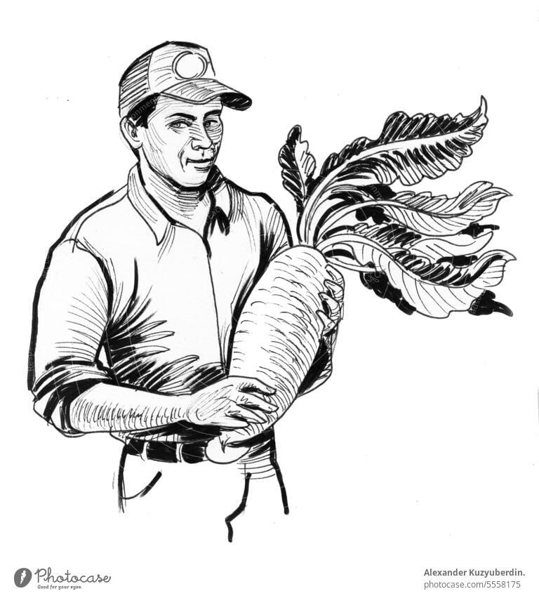 Landwirt mit großer Rübenwurzel. Tinte schwarz und weiß Zeichnung Ackerbau Kunst Hintergrund Ernte graviert Bauernhof Landwirtschaft Lebensmittel Glück