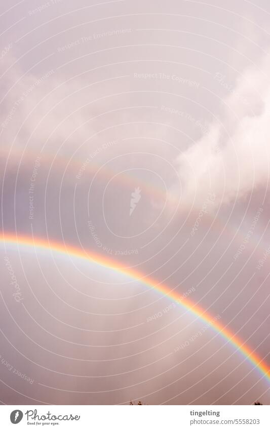 Doppelter Regenbogen vor wolkigem Himmel doppelter Regenbogen Wetter Wolken Spektrum Licht natur magic blau himmlisch zauberhaft Bogen Naturschauspiele