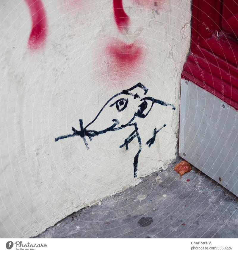 Rattenalarm! |Rattengraffiti Graffiti Tier Nagetier Außenaufnahme niedlich rot weiß grau Neugier neugierig Wand Beton Teil einer Tür klein versteckt frech