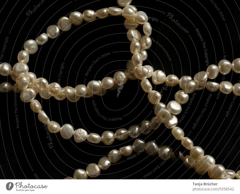 Perlenkette auf schwarzem Samt Perlenschmuck Schmuck schön alt alter Schmuck Halskette Kette Damenkette Accessoire Reichtum edel glänzend verschlungen verknotet