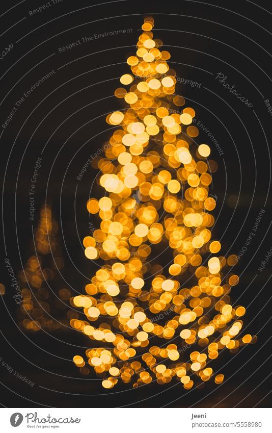 Bald wieder Weihnachten Beleuchtung weihnachtlich Stimmung Weihnachten & Advent Weihnachtsbaum Christbaum Abend Tannenbaum Tradition Weihnachtsbeleuchtung Licht