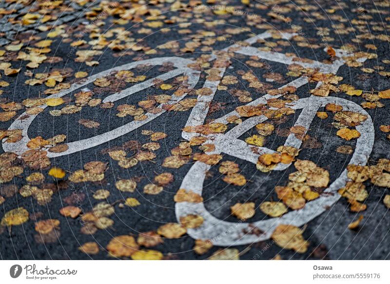 Fahrradpiktogramm auf Asphalt unter Laub Fahrradweg Radweg Fahrradfahren Herbst nass rutschig Gefahr Verkehr Verkehrswende Straße Straßenverkehr markierung