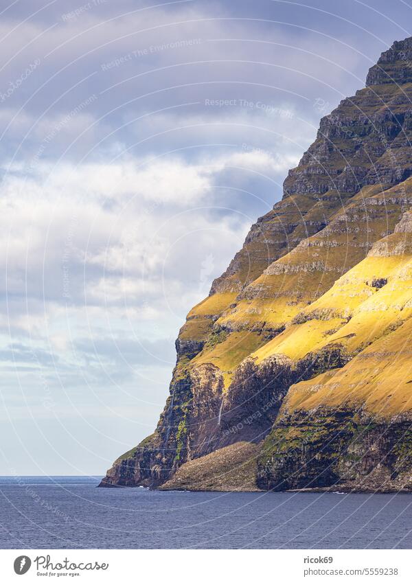Felsen auf der Färöer Insel Kalsoy Küste Meer Atlantischer Ozean Nordostatlantik Atlantikküste Dänemark Berg Klippen Landschaft Natur Wasser Stein Gras Herbst